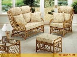 41762093_235022560520962_5379166450537725952_n Cane Furniture