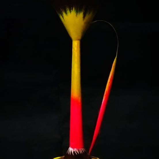 41204471_1989582264427534_776413667733274624_n Rickshaw painted lamp