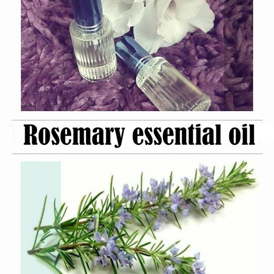 27952873_1846492108703258_8262117450741448704_n Rosemary essential oil