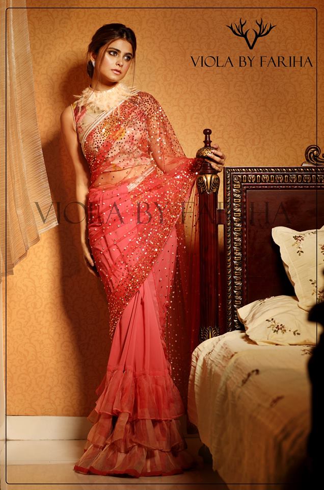 52011375_2028770334089403_7724359816973385728_n Saree and Blouse