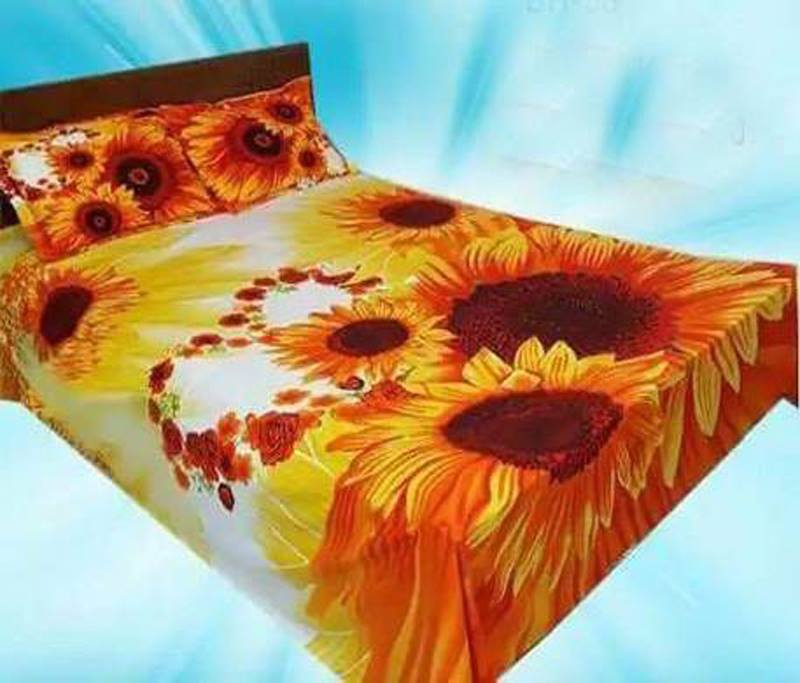 53609531_2239082813077312_5678201946498924544_n Cotton Bed Sheet
