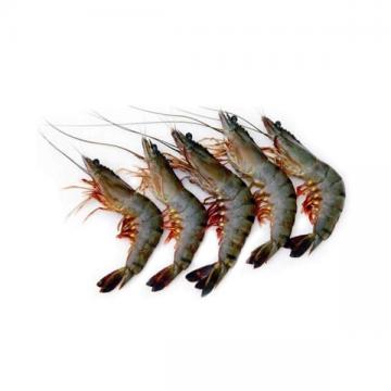 99110820180001-0 Prawn Small (Chingri)