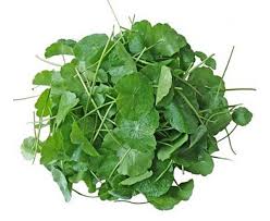 Thankuni-Pata-or-Centella-leaves Thankoni Pata