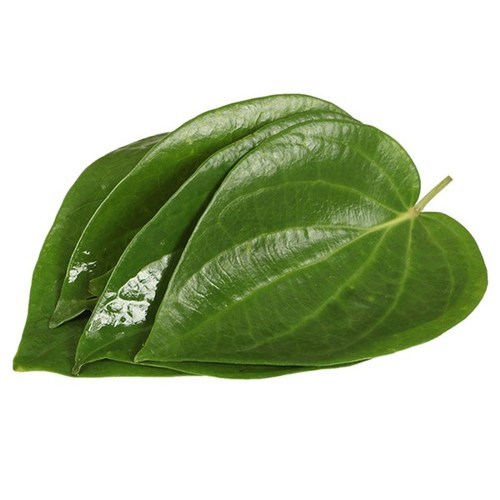 betel-leaf-500x500 Betel Leaf