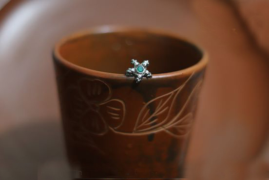 70904654_2166910590275376_8847401564814442496_n Nose Stud