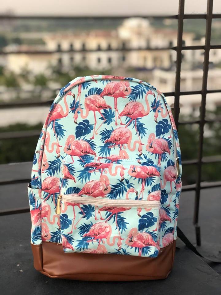 74914557_2482748041842036_5370069477876563968_n Backpack