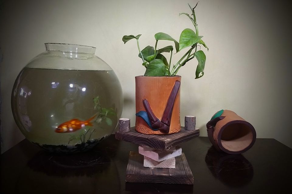 86389151_2676939785756961_4166414324920745984_n Plant Shelf