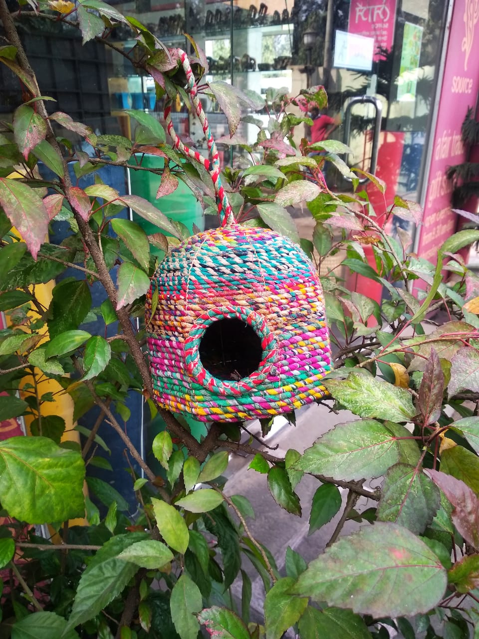 WhatsApp Image 2021-01-26 at 5.58.12 PM (3) Bird House