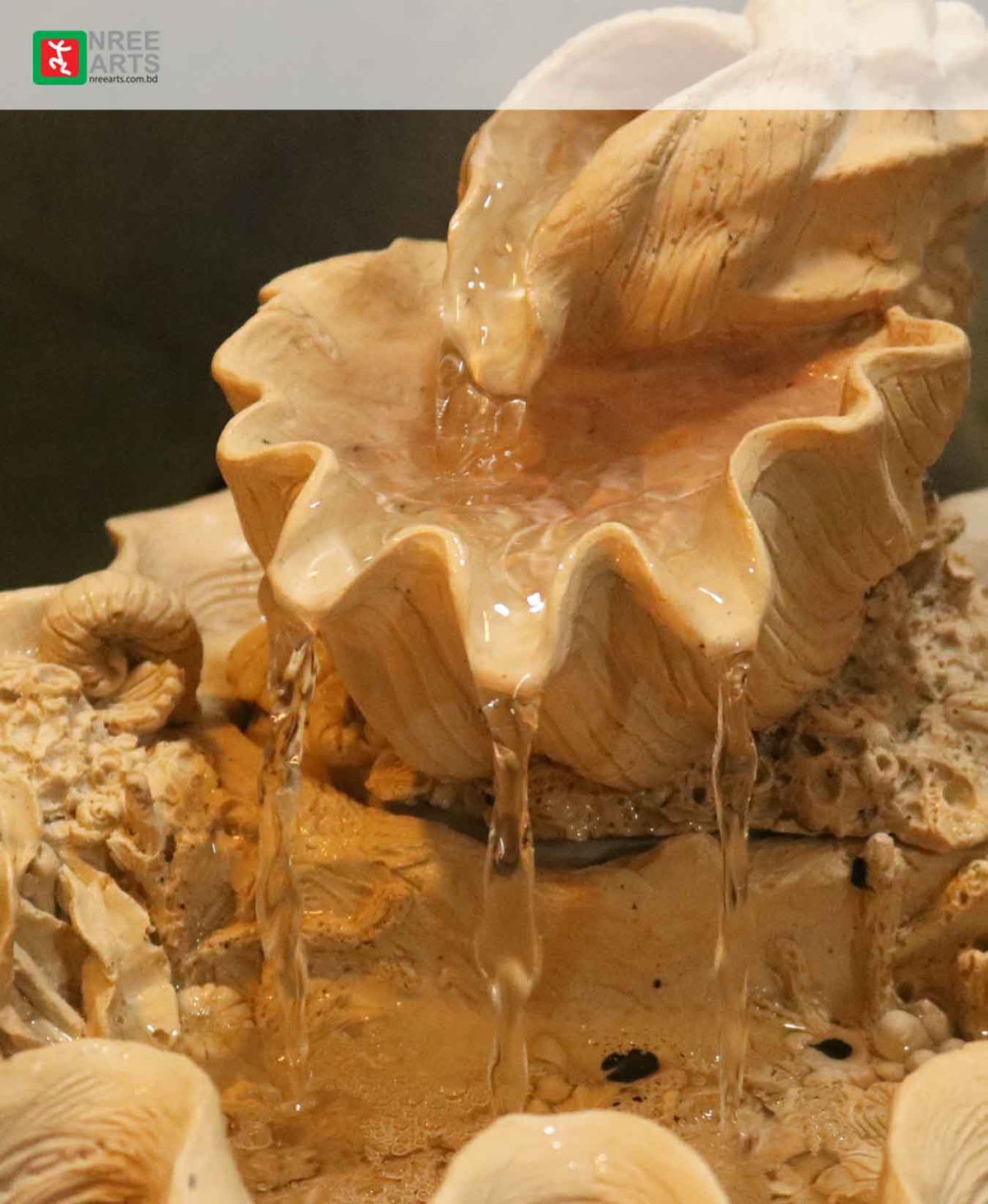 TABLETOP WATER FOUNTAIN | SEA-SHELL WATER FOUNTAIN | #TBF010