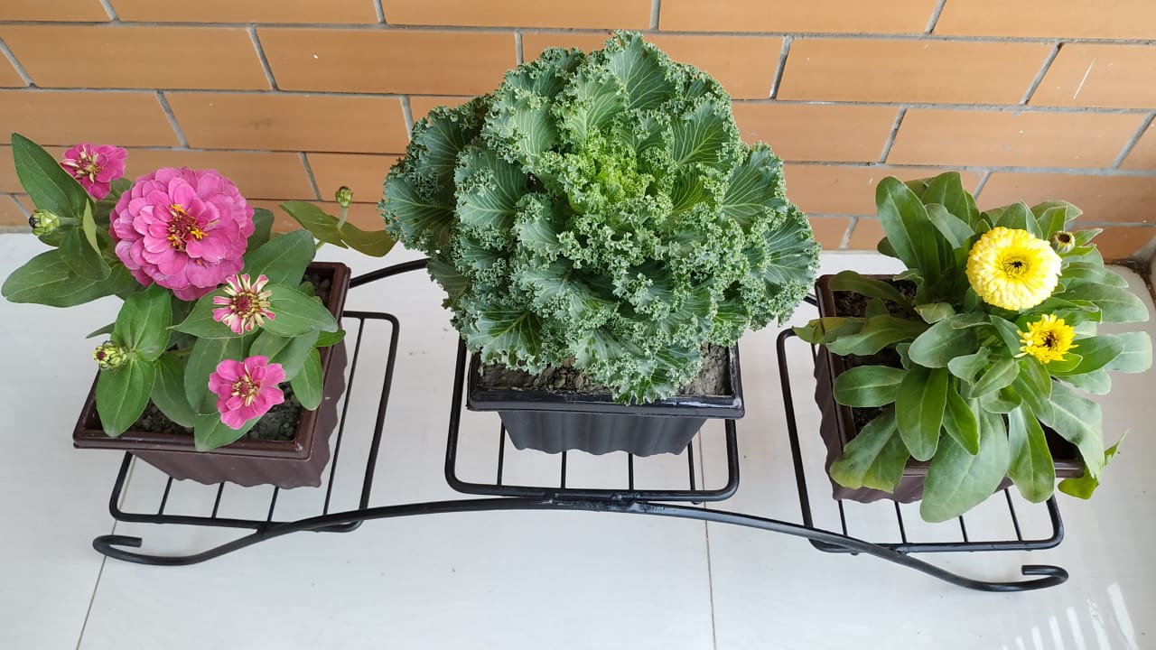 5 3 Shades Plant stand