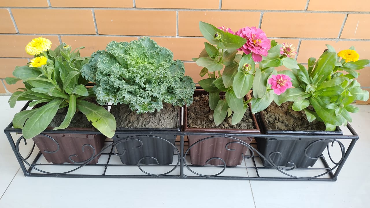 8 Infinity Plant stand