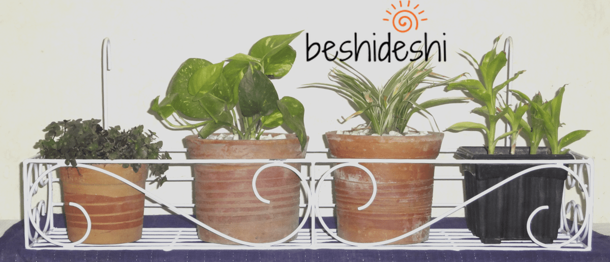 S Shape Railing Planter