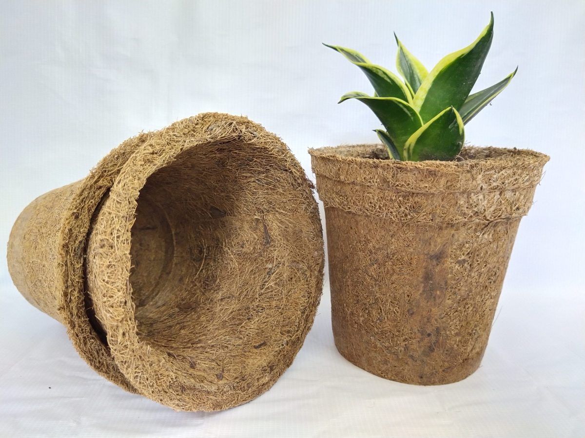 Coir Pot Medium Size (Per Piece)