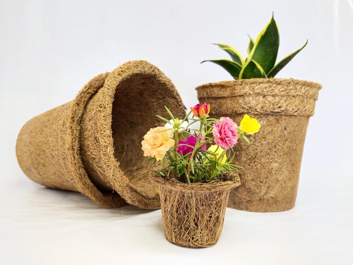 Coir Pot Medium Size (Per Piece)