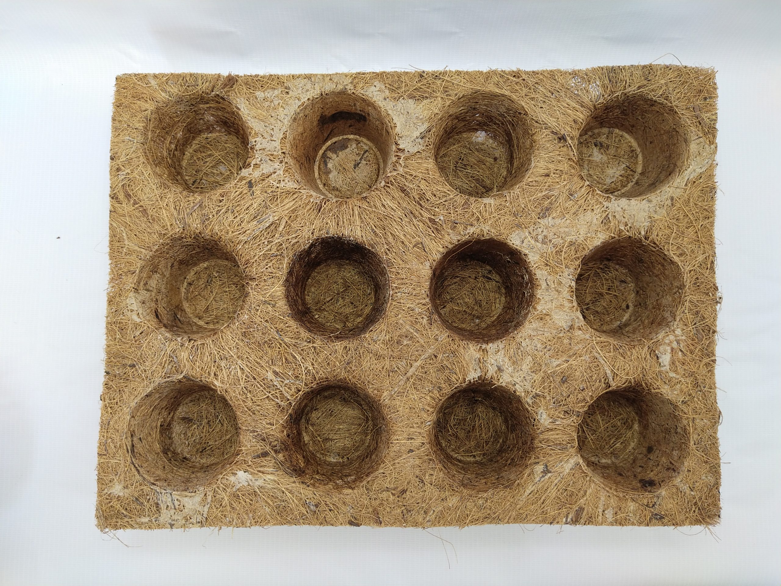 picture (20) Coir Seedling Tray