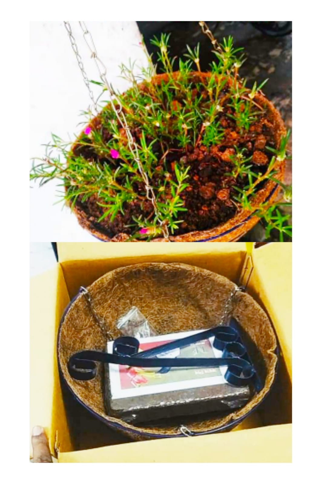 Coir Hanging Basket Beshi Deshi