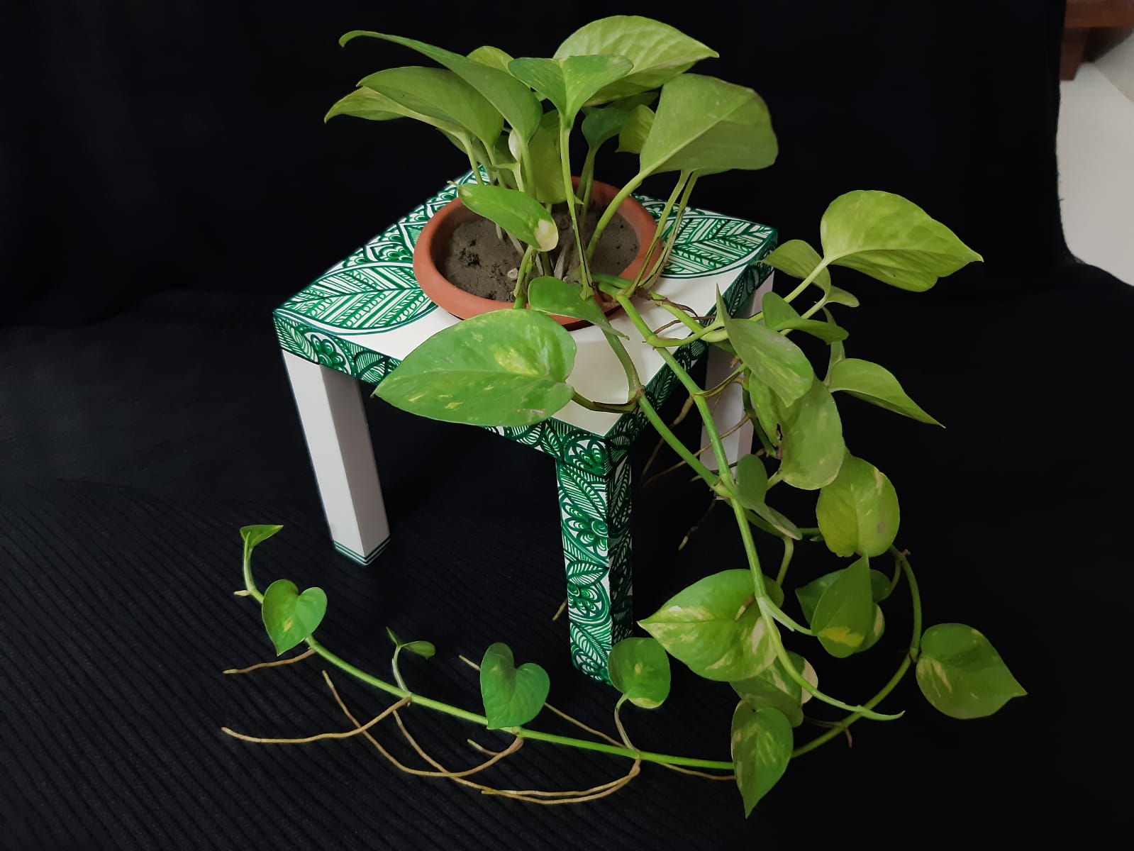 WhatsApp Image 2022-01-17 at 1.49.35 PM Wooden Planter with Plant