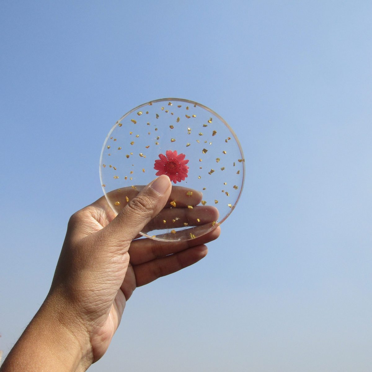 Handmade Pressed Flower Round Resin Coasters Set of 6pcs