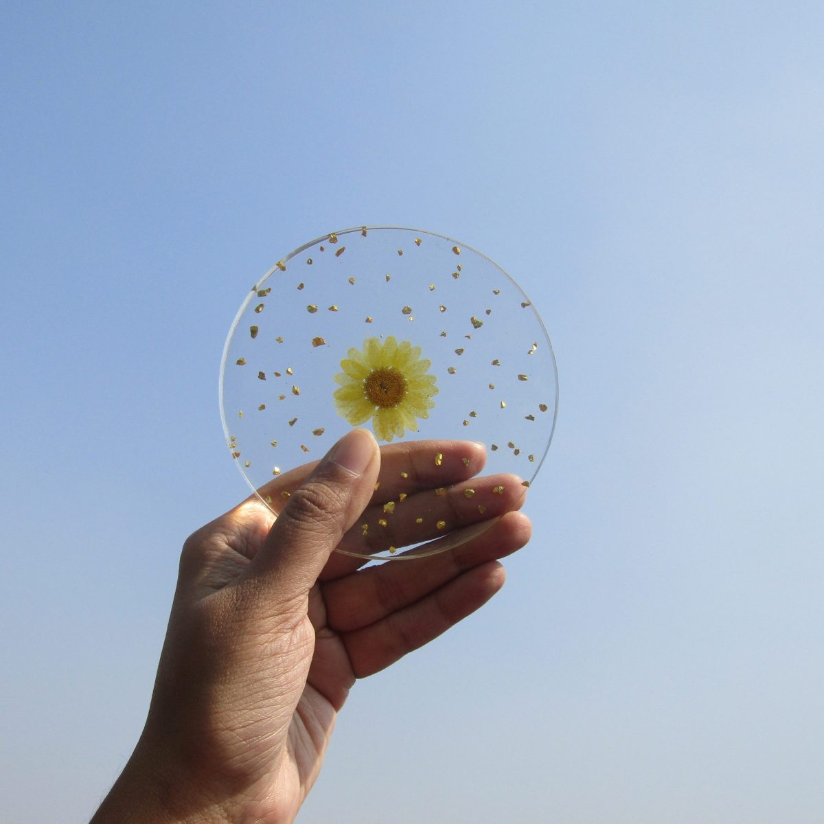 Handmade Pressed Flower Round Resin Coasters Set of 6pcs