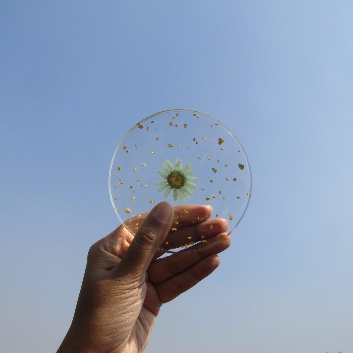 Handmade Pressed Flower Round Resin Coasters Set of 6pcs