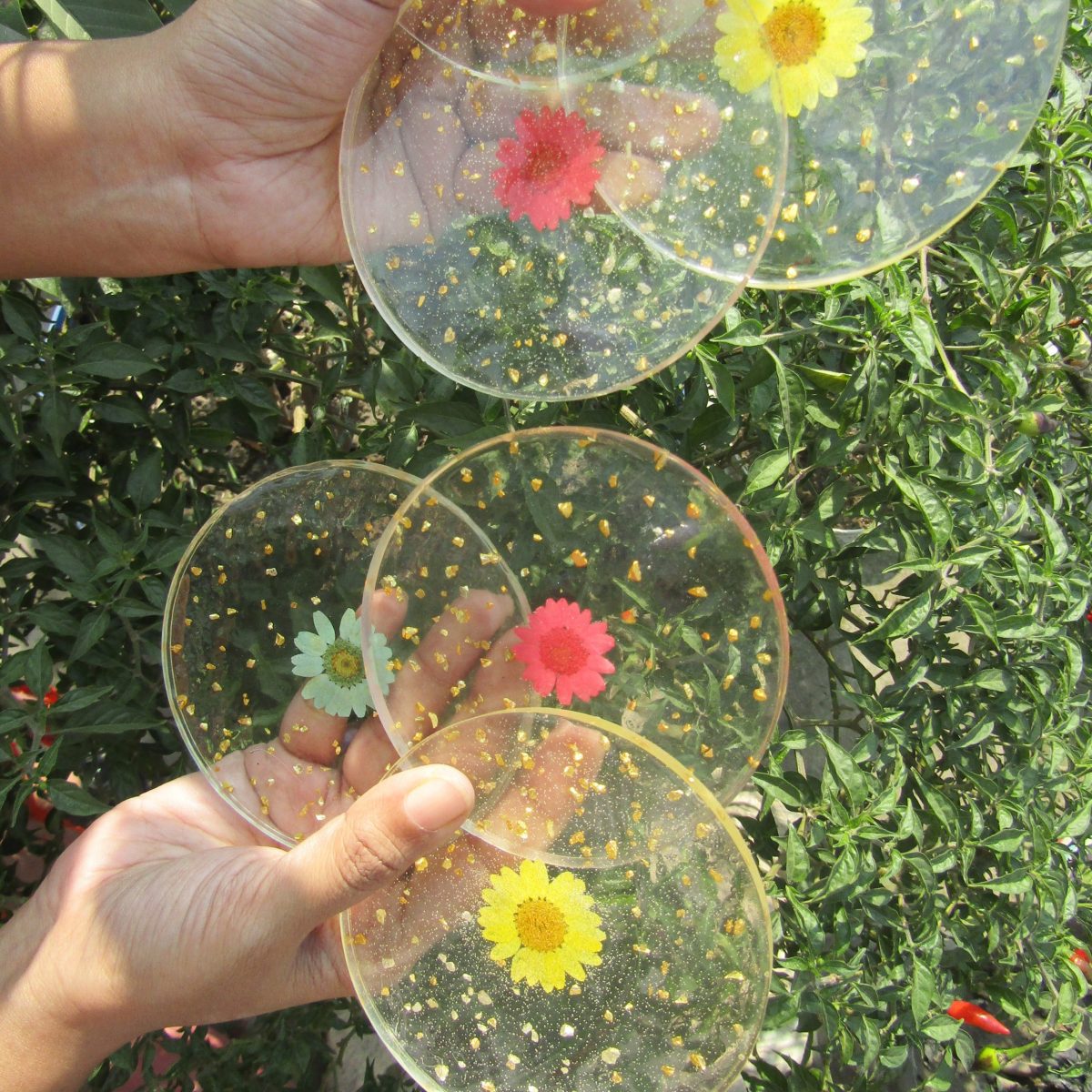 Handmade Pressed Flower Round Resin Coasters Set of 6pcs