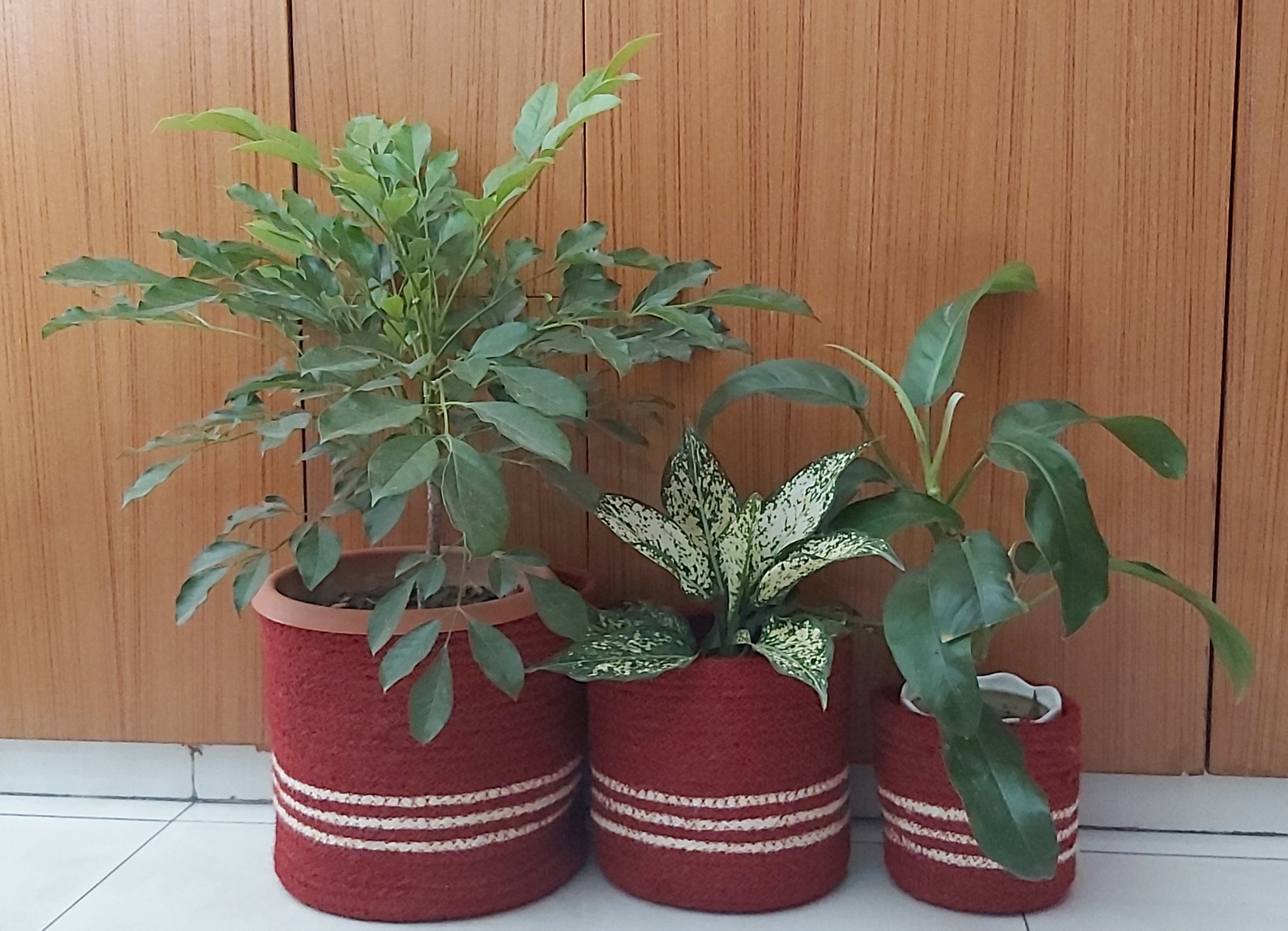 20211121_105757 Jute Planter Cover/ Basket