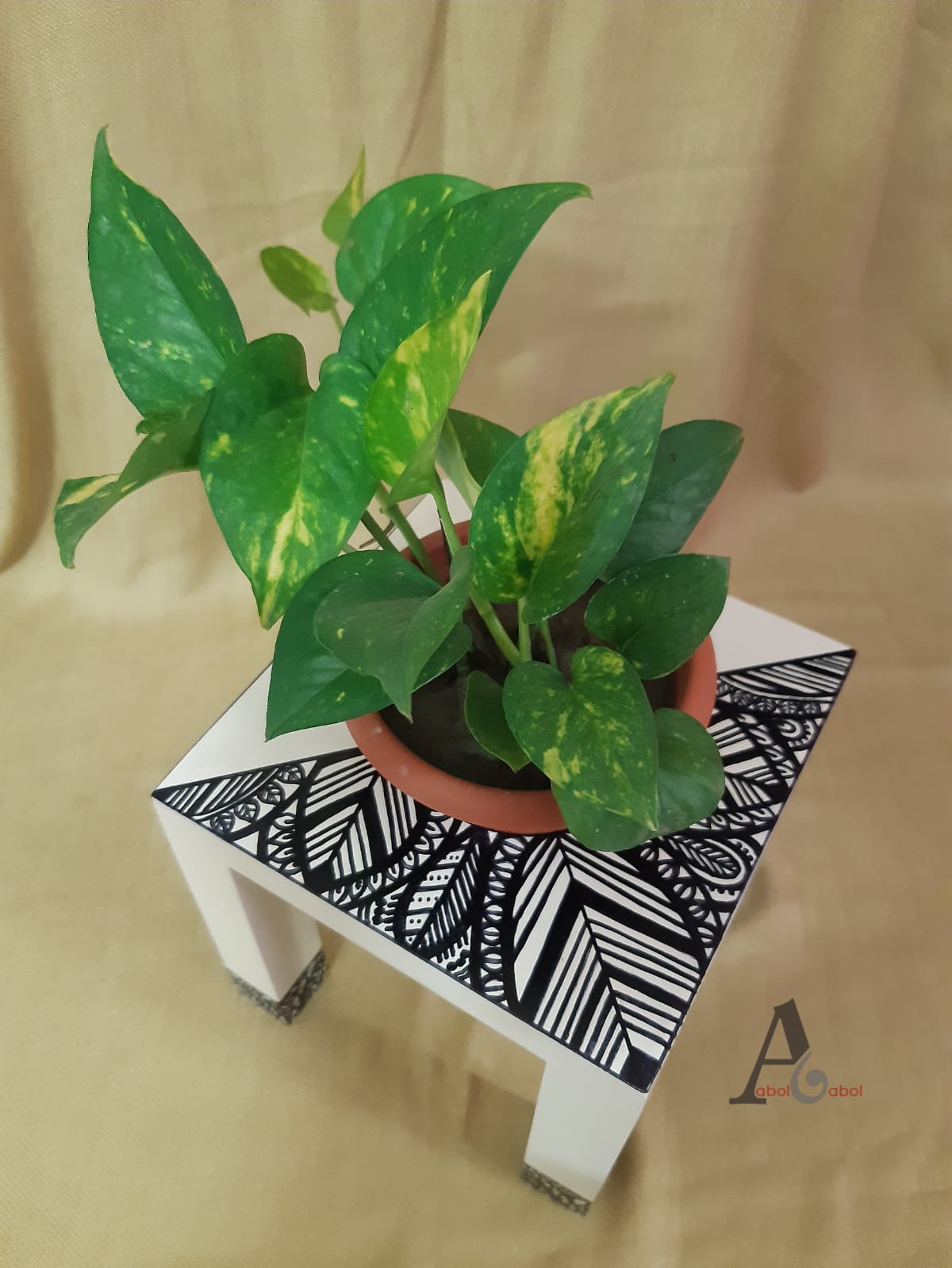 WhatsApp Image 2022-01-17 at 1.49.37 PM Wooden Planter with Plant