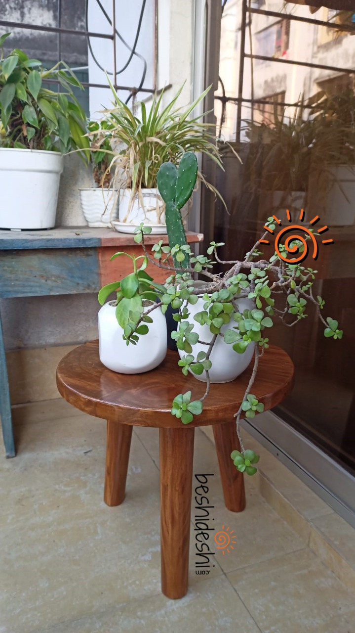 WhatsApp Image 2022-01-17 at 9.31.09 AM(3) Round Mini Table