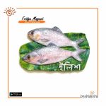 Ilish Fridge Magnet