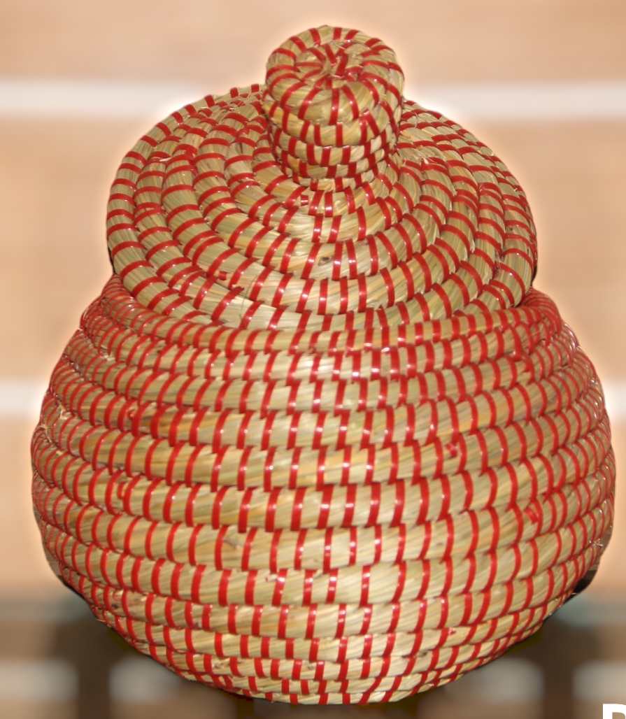 PhotoRoom-20220215_182746 Patil with Dhakna