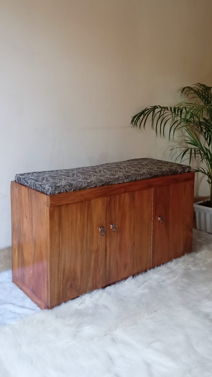 WhatsApp Image 2022-02-06 at 4.06.19 PM Shoes Cabinet