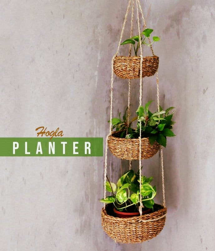 275511272_2869372500029178_7695400294075111018_n Round Sika (Planter)