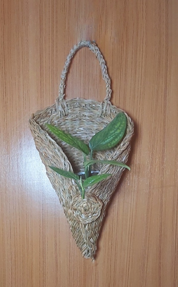 WhatsApp Image 2022-03-05 at 12.12.14 PM Hogla (Sea Grass) Wall Hanger