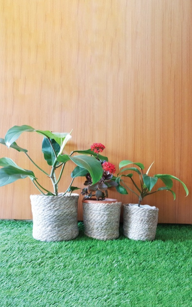 WhatsApp Image 2022-03-05 at 12.19.35 PM Jute Planter Cover Set