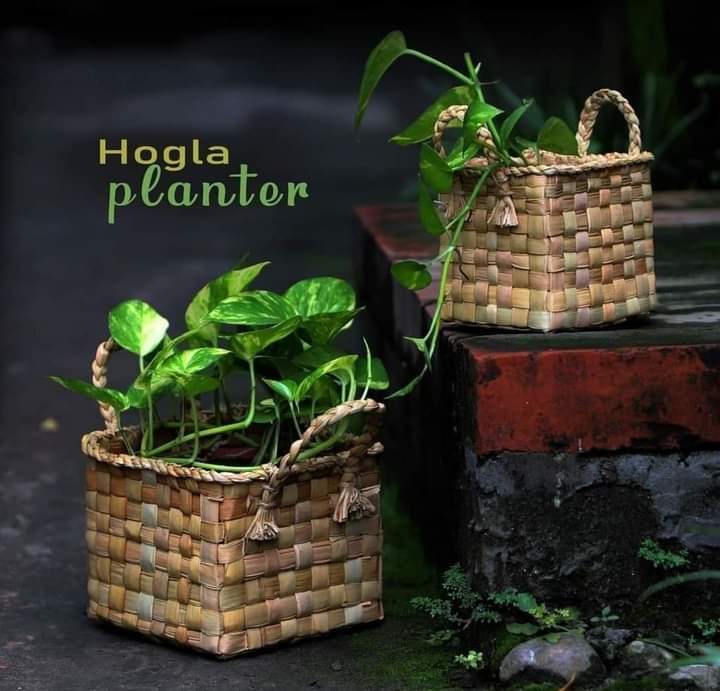 WhatsApp Image 2022-03-05 at 2.43.59 PM Hogla Leaf Basket Large