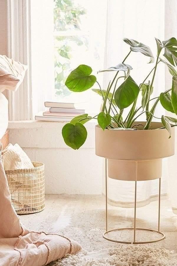 8 Urban Plant Stand
