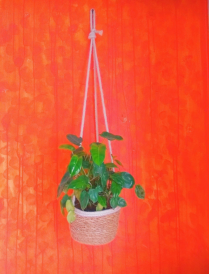 WhatsApp Image 2022-12-29 at 23.55.03 Designer Hanging Planter