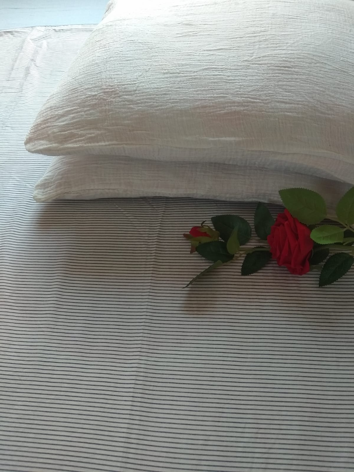 WhatsApp Image 2023-01-09 at 23.26.17 Moslin Cotton Pillow Cover