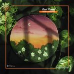 Hand Painted Mini Canvas