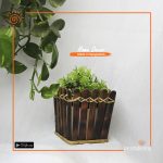 Bamboo Box Vase (Small)