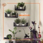 Wall Mounted Floating Shelf