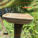 Reusable Areca Food Box Set