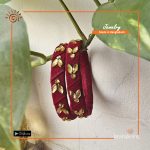 Rokto Joba Hand Made Bangle Set