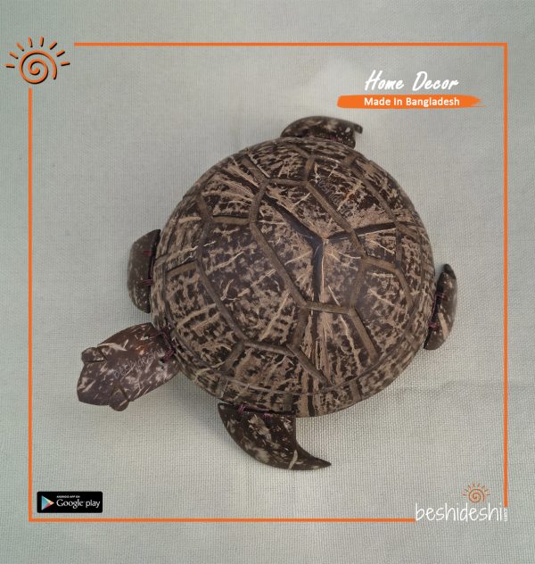 Coconut Shell Turtle Box