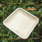 Reusable Areca Square Plate Set