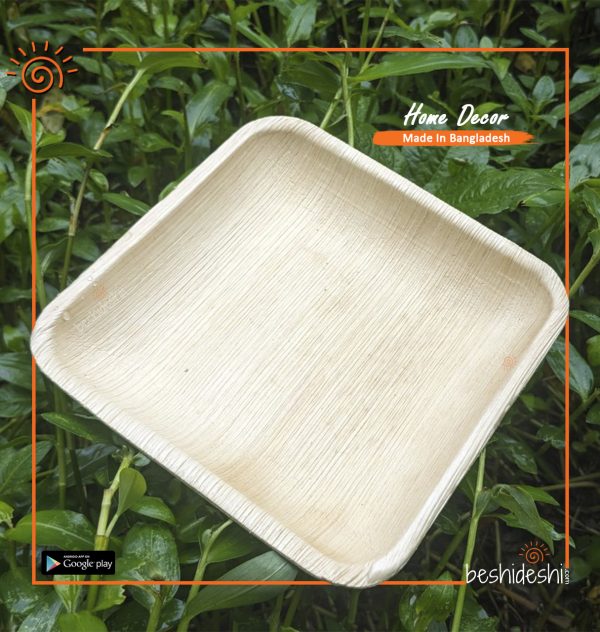 Reusable Areca Square Plate Set