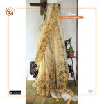 Fuljhuri Organza Block Print Saree