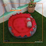 Pet Bed With Pillow