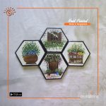 Hand Painted Canvas Art Set