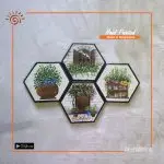 Hand Painted Canvas Art Set